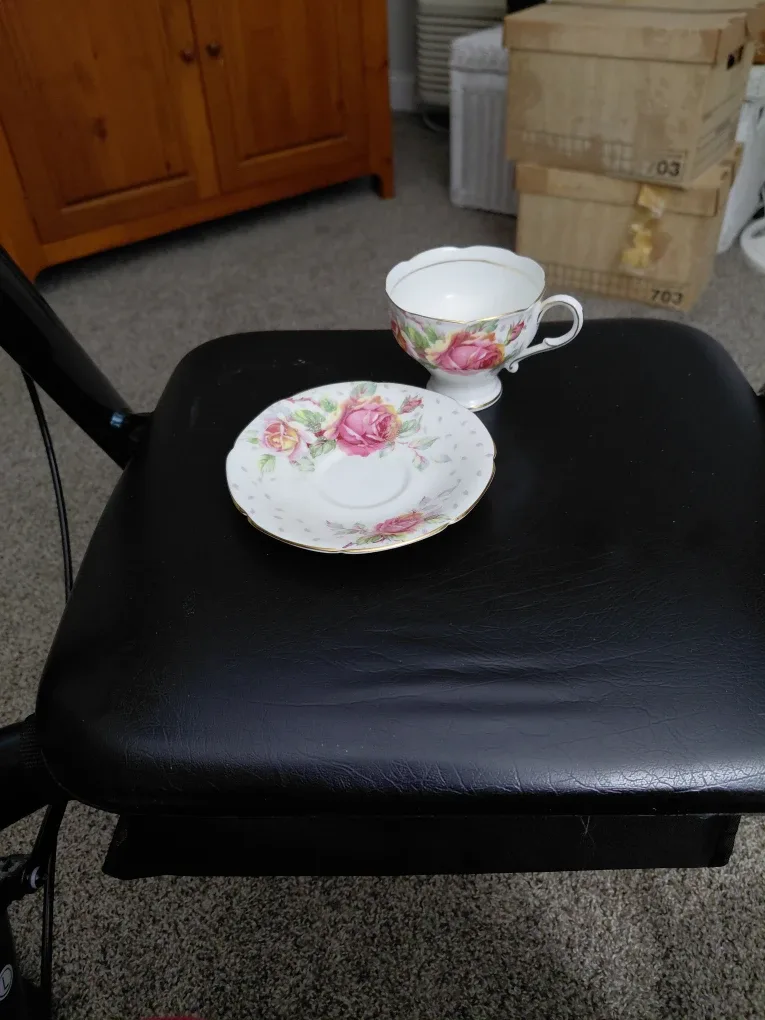Vintage Floral Tea Cup and Saucer Set