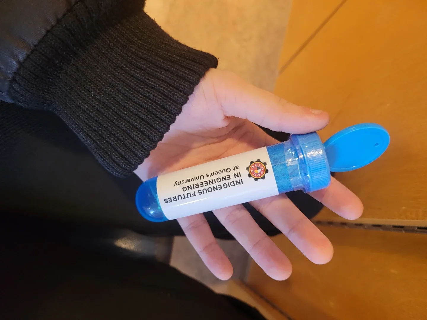 Indigenous Futures at Queen's University image indicator(2)