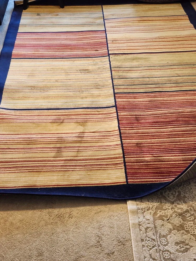 Striped Area Rug - Home Decor image indicator(7)