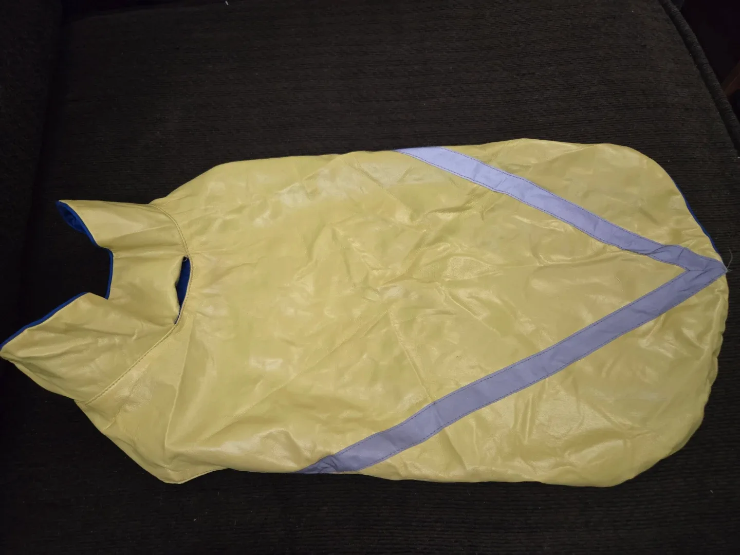 Yellow Dog Raincoat thumbnail
