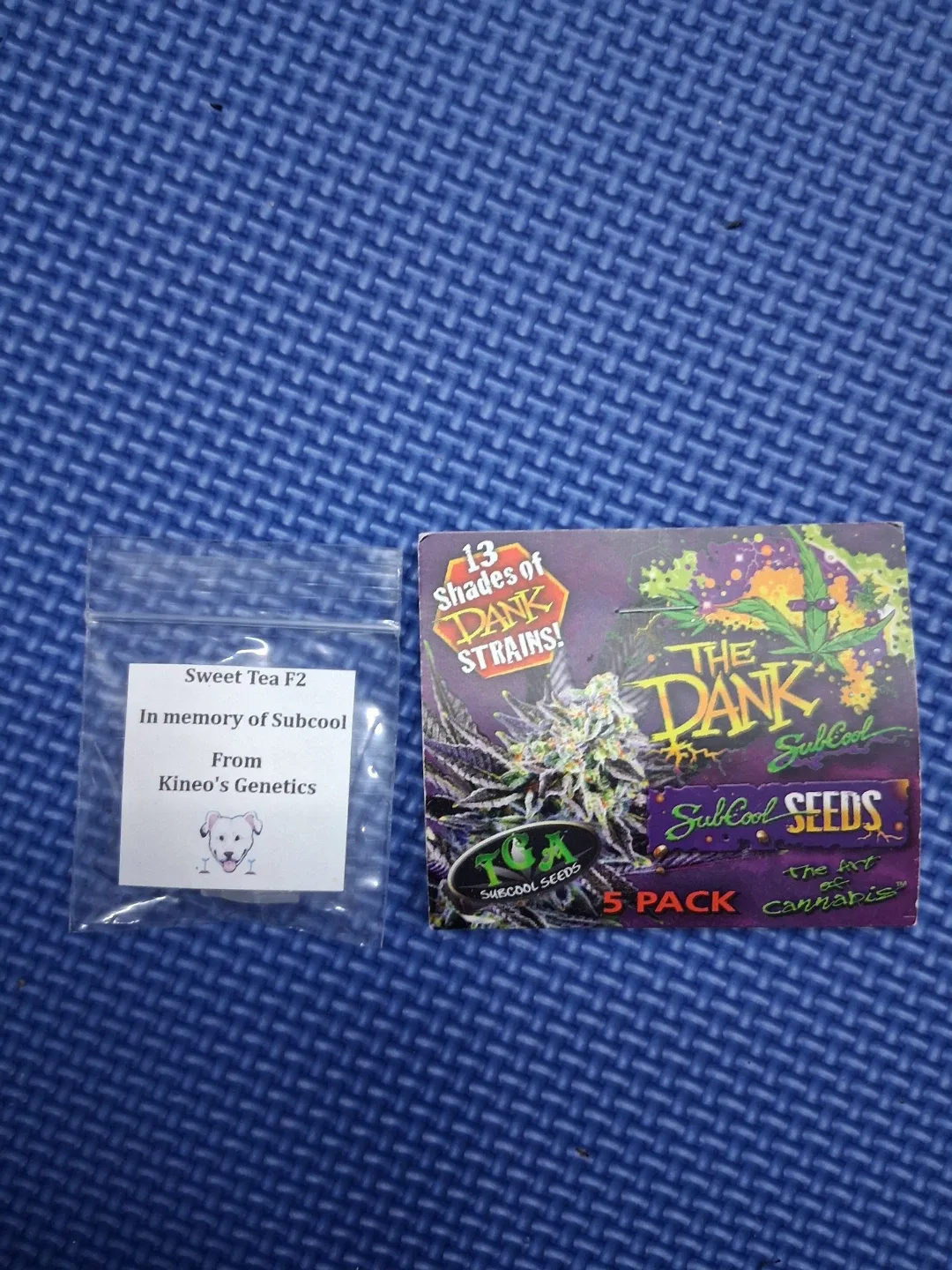 Scarlett Queen From Subcool Seeds