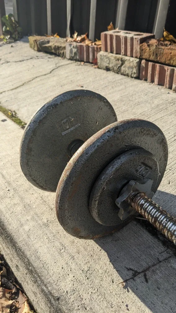 25 Pound Dumbbell image indicator(2)