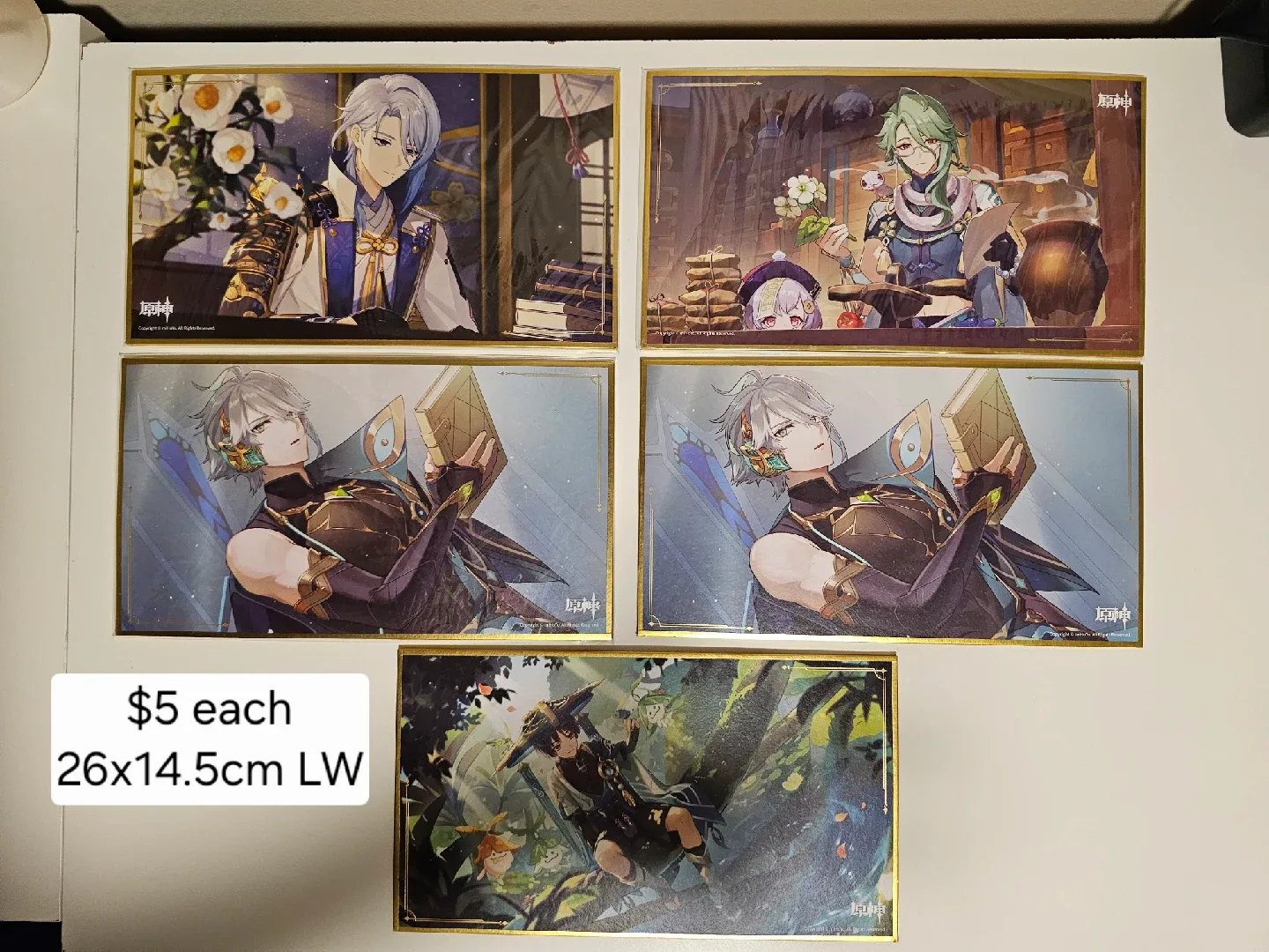 Reduced Genshin Impact Official Merch image indicator(7)