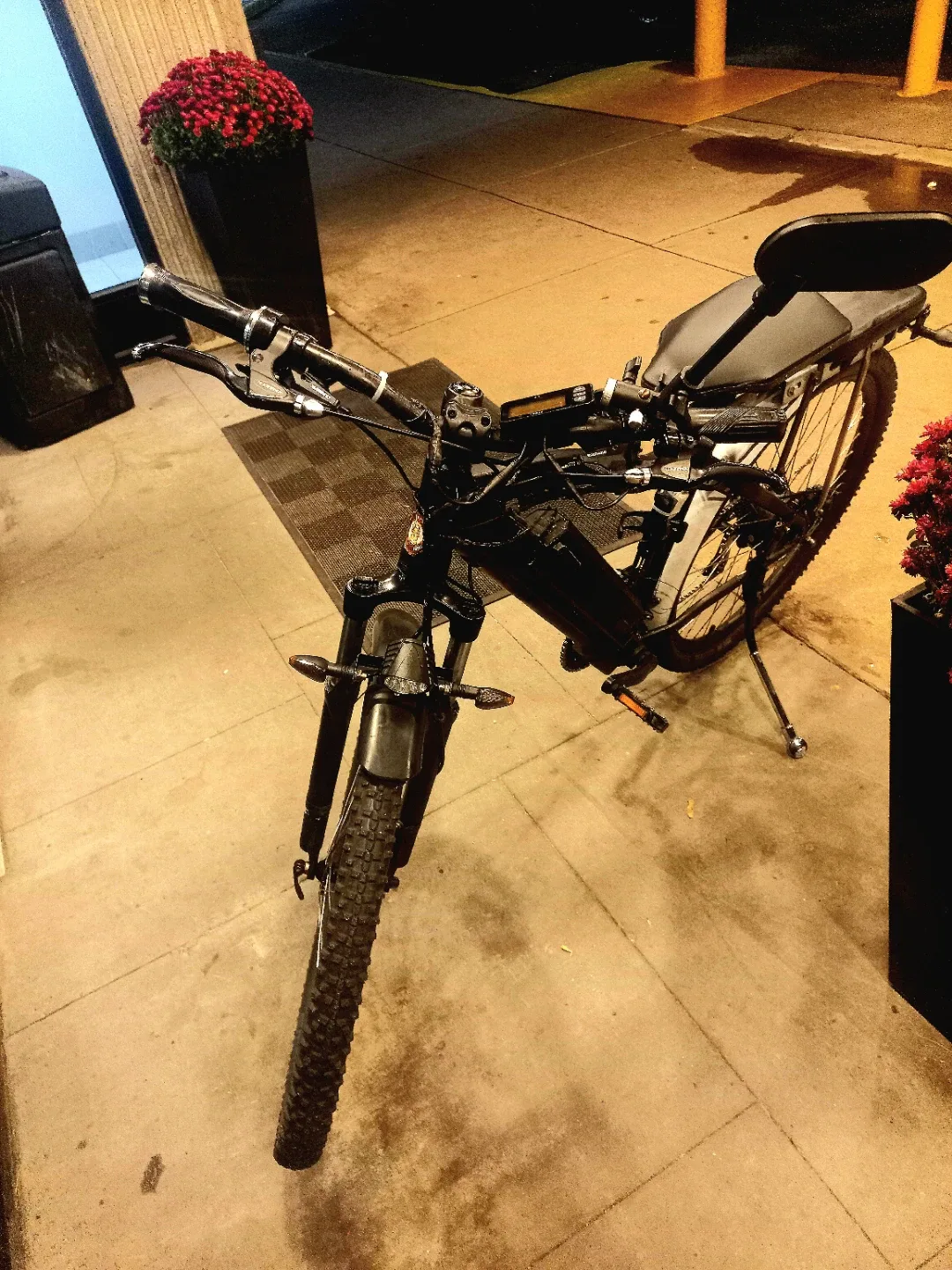 29" Electric Bike — Powerful, Stylish & Ready to Ride!