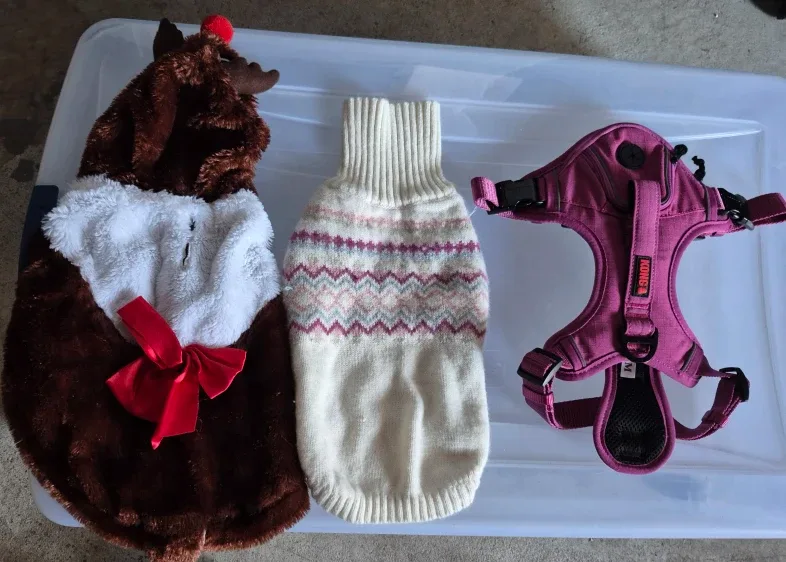 Dog medium size accessories