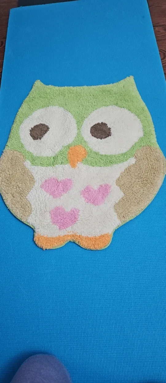 Circo Owl Rug - Kids Room Decor image indicator(4)
