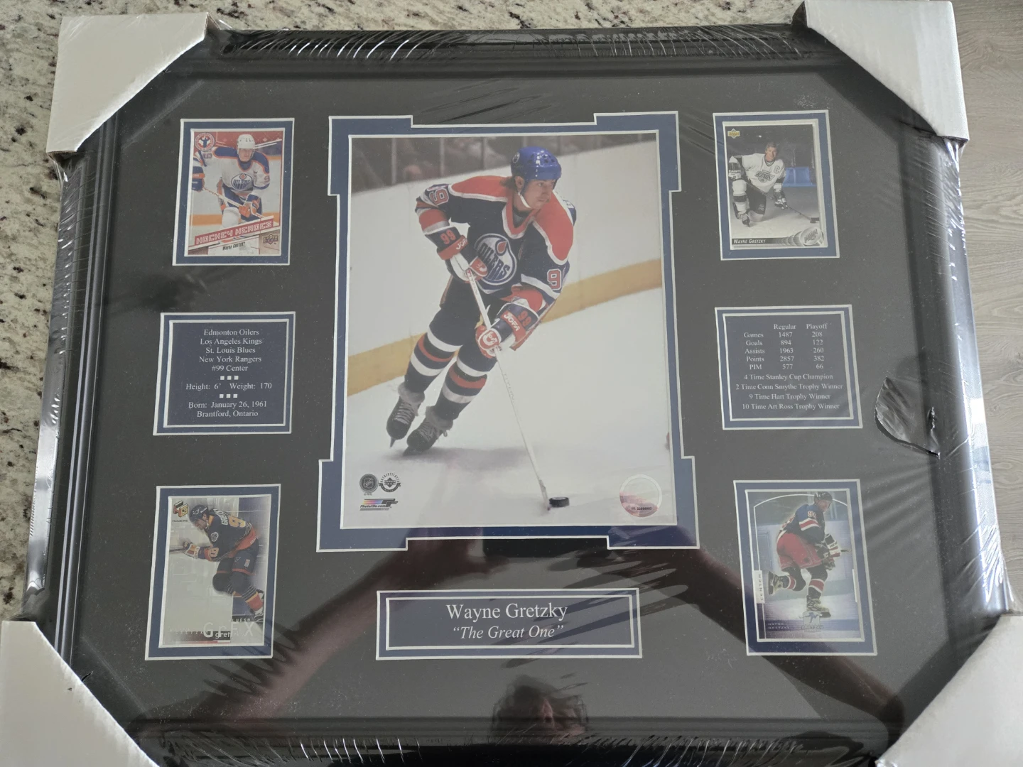 Wayne Gretzky Pic