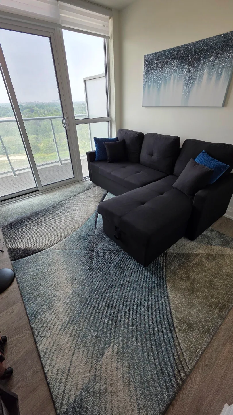 Area Rug – Great Condition image indicator(2)