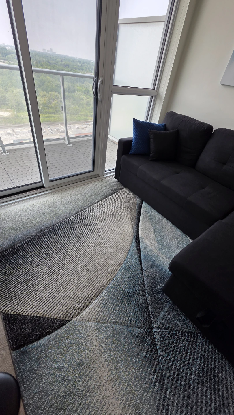 Area Rug – Great Condition - photo 3