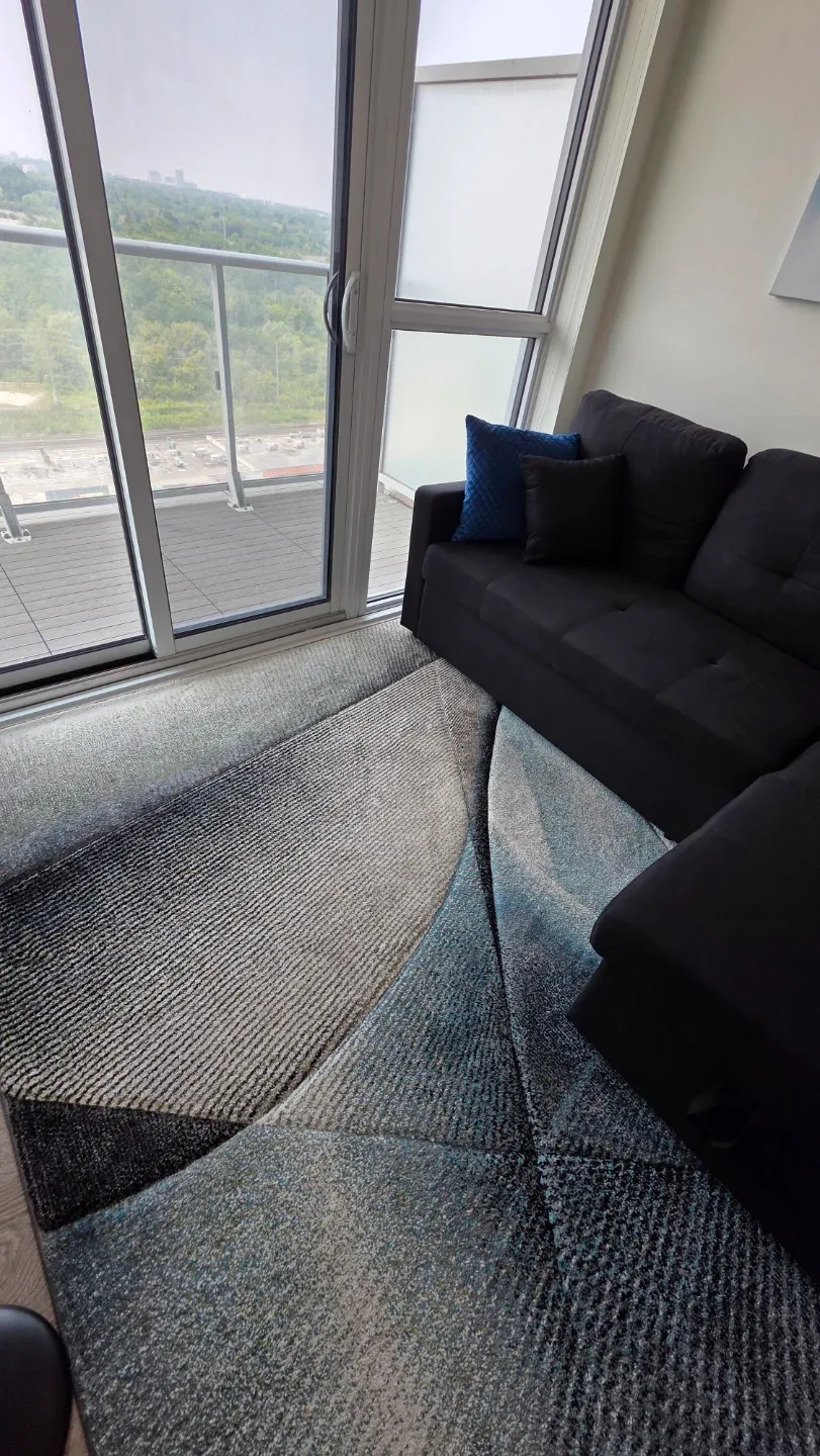 Area Rug – Great Condition image indicator(3)