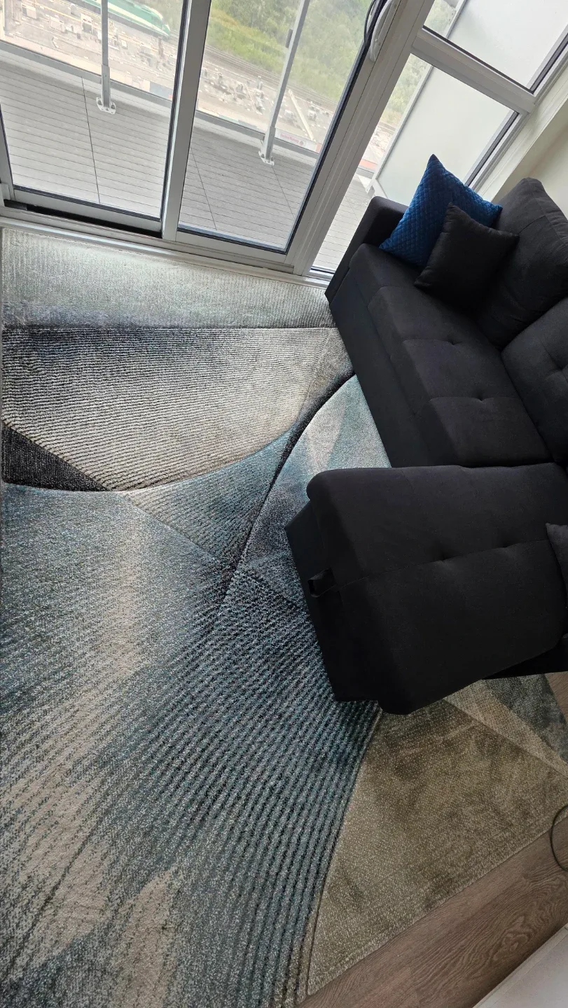 Area Rug – Great Condition image indicator(4)