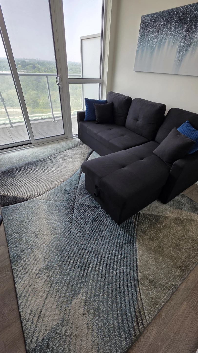 Area Rug – Great Condition - photo 5