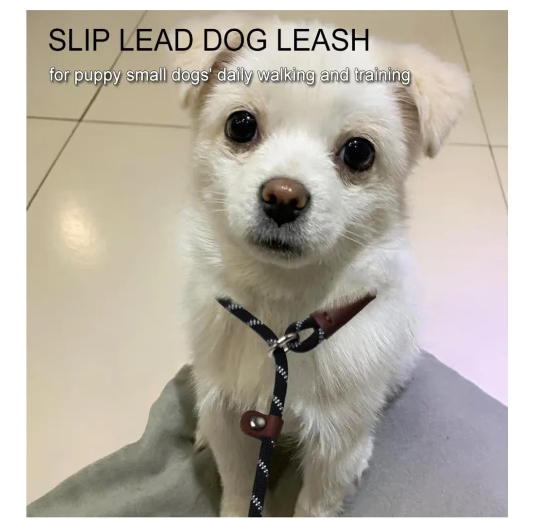 Slip Lead Dog Leash image indicator(3)