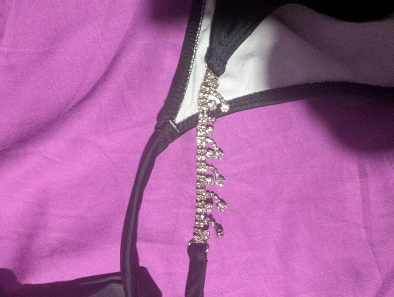 Black Bikini Bottom with Rhinestone Detail image indicator(3)