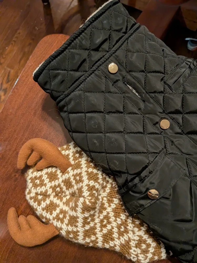 TWO Small dog coats and sweater, SMALL $8 for both image indicator(2)