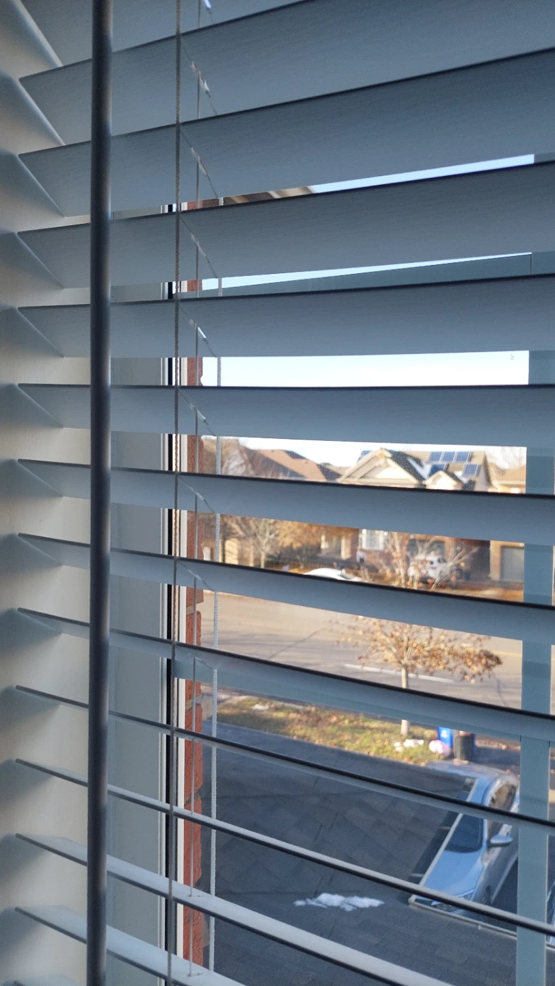 White Window Blinds
