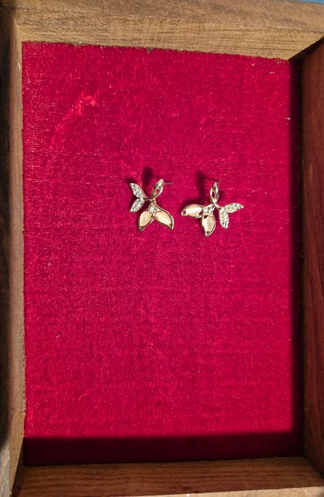 Assorted Earrings image indicator(3)