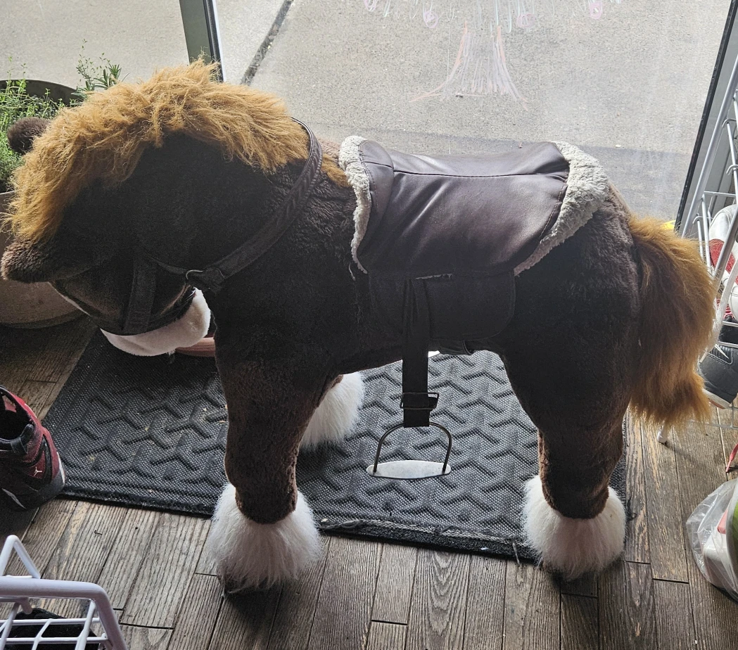 Dan dee ride on clydesdale horse - photo 3