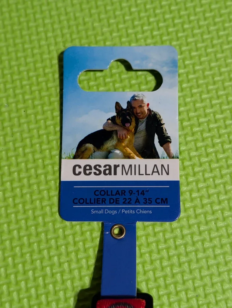 FREE: Cesar Millan Dog Collar, 9-14" 2of5 image indicator(2)