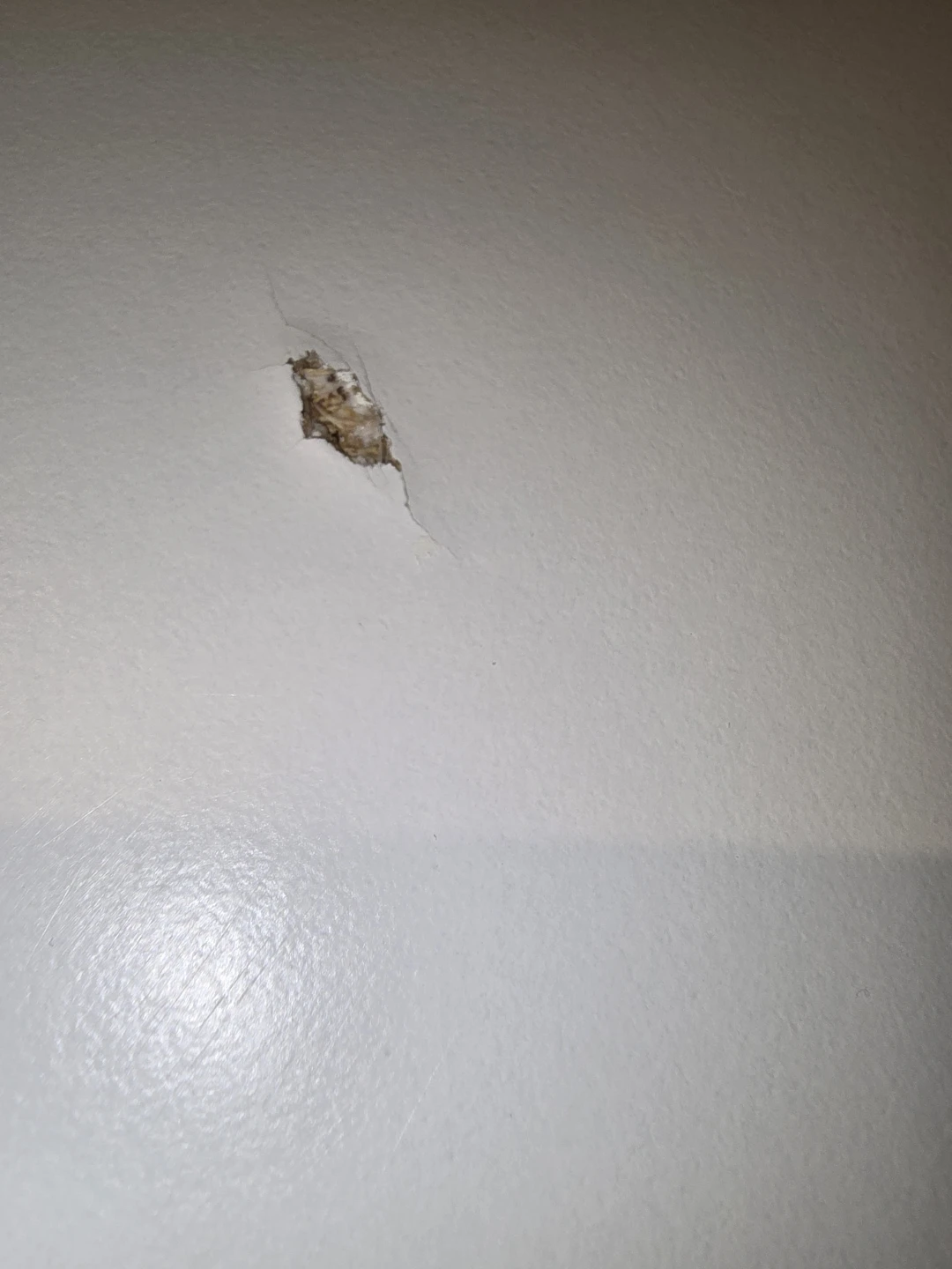 Free TROTTEN Tabletop (no legs) 160x80 cm - photo 3