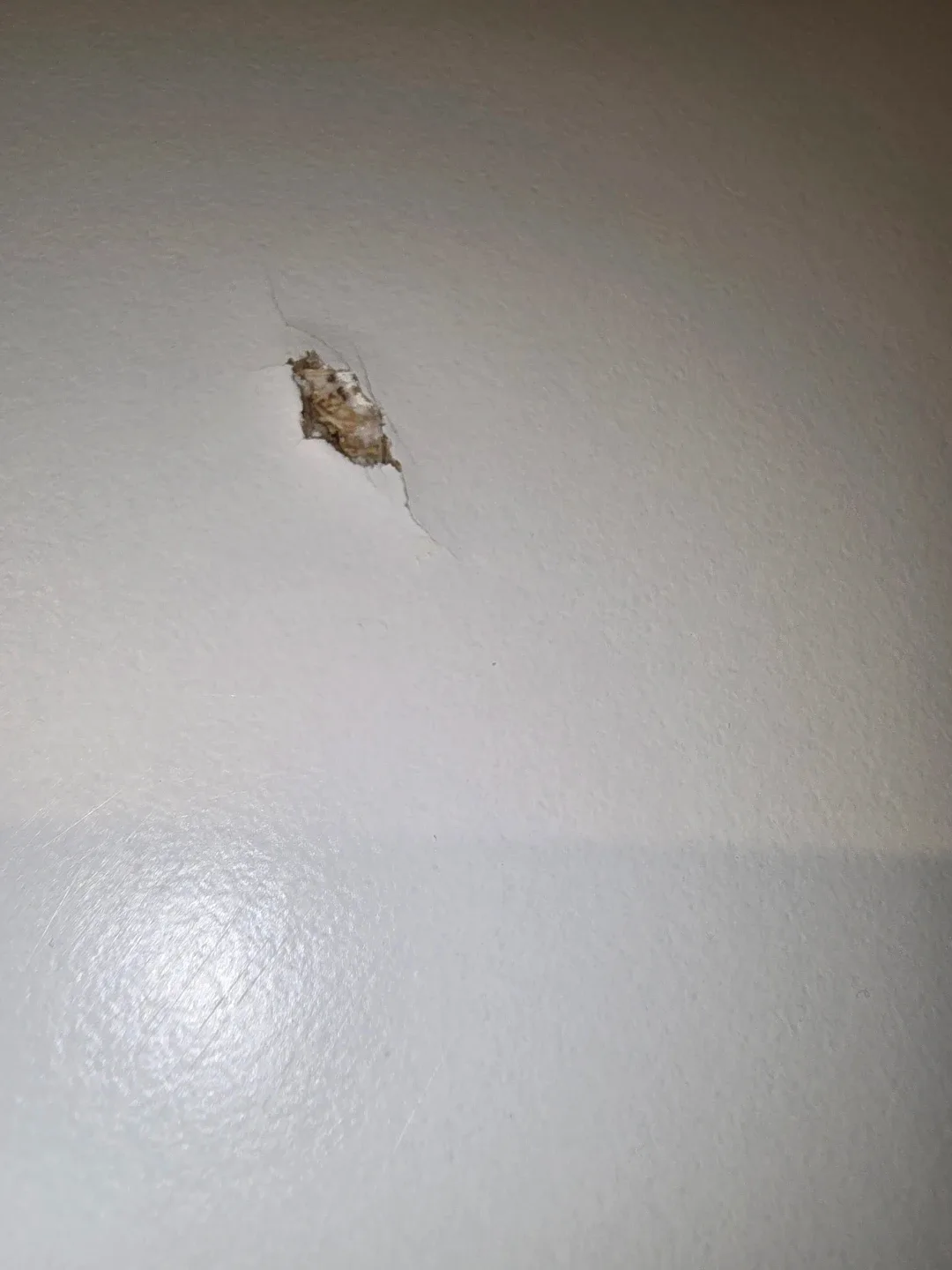 Free TROTTEN Tabletop (no legs) 160x80 cm image indicator(3)