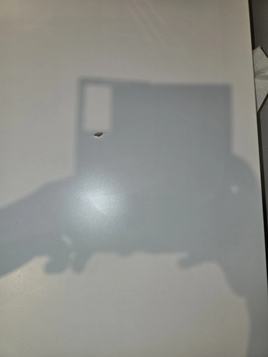 Free TROTTEN Tabletop (no legs) 160x80 cm - photo 4