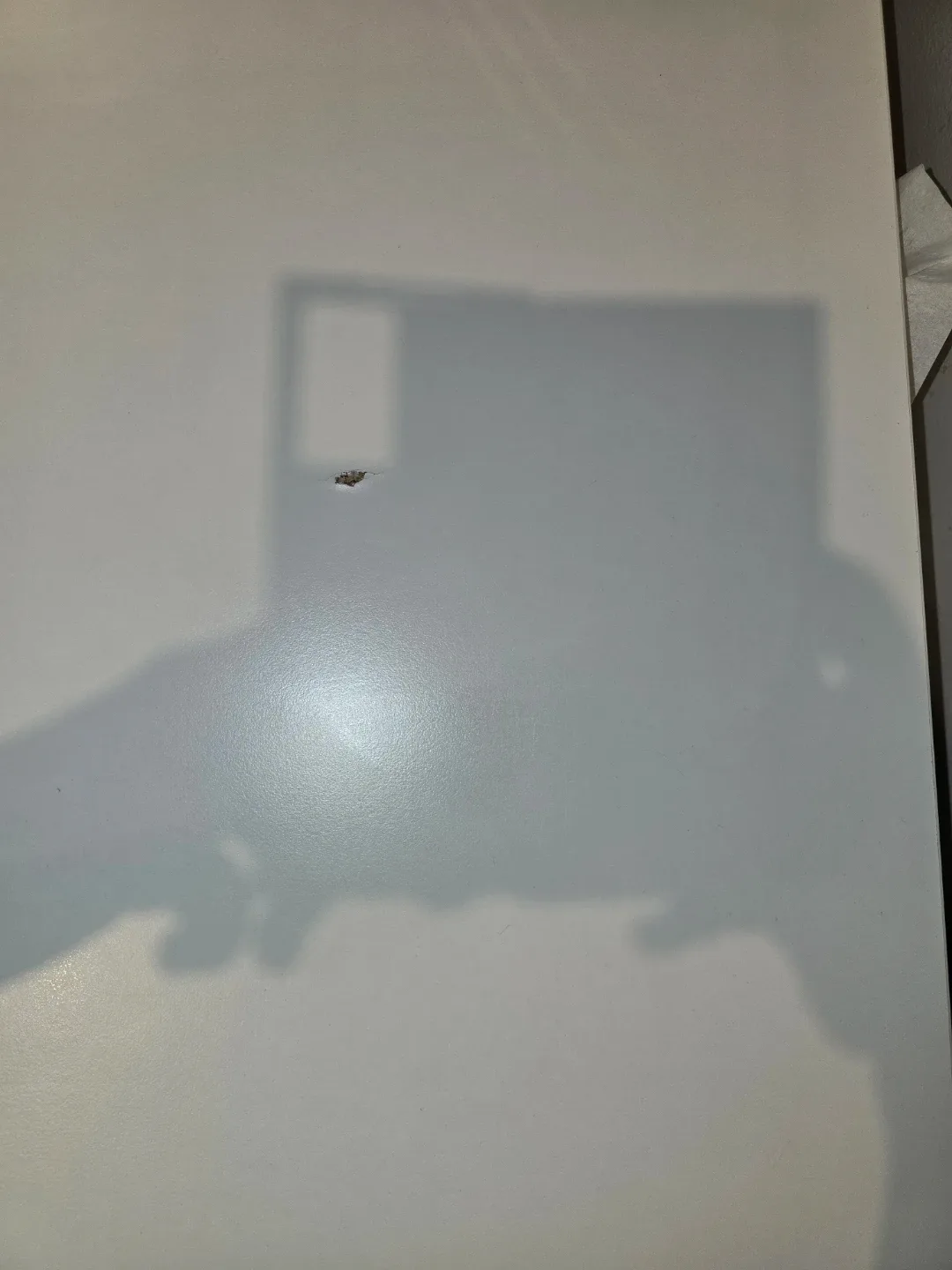 Free TROTTEN Tabletop (no legs) 160x80 cm image indicator(4)