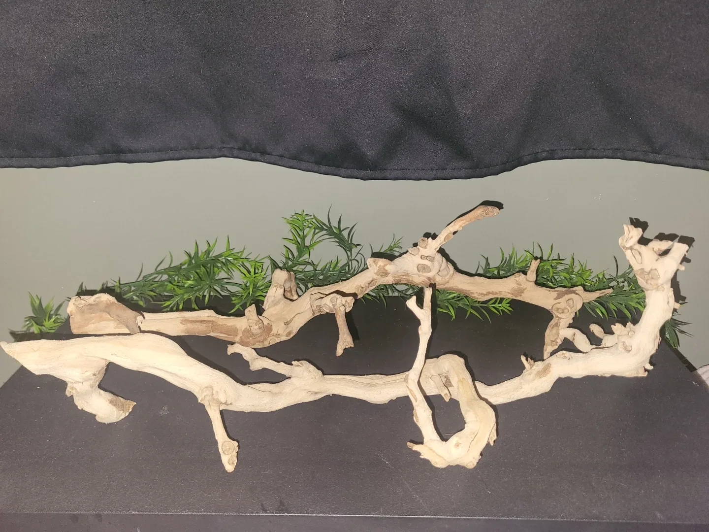 Exo Terra Forest Branches image indicator(2)