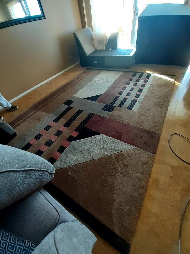 Geometric Pattern Area Rug - photo 2