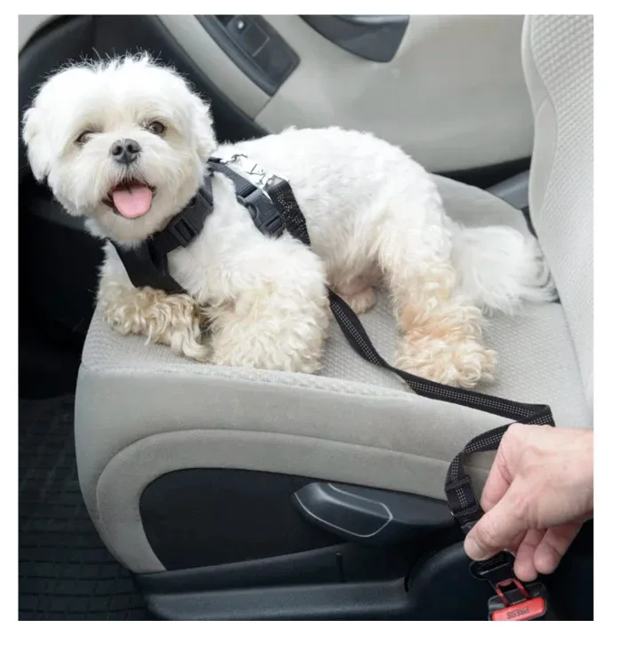 Dog Car Seatbelt Safety Restraint image indicator(3)