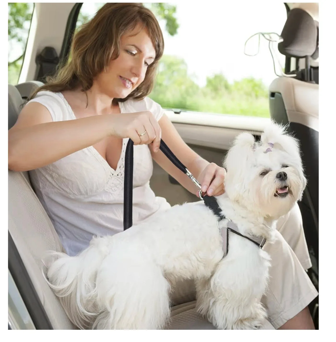 Dog Car Seatbelt Safety Restraint image indicator(4)
