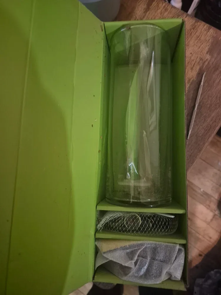 Fruits & Passion Deco Vase Floating Candle Set - NEW image indicator(3)