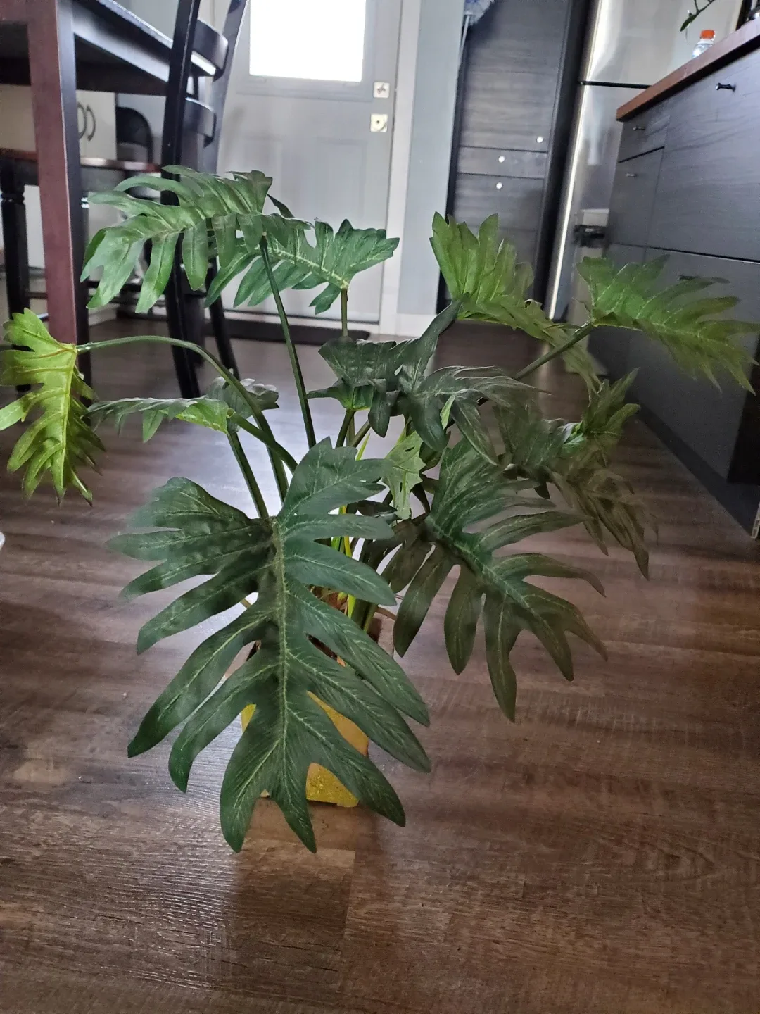 Faux Philodendron Plant