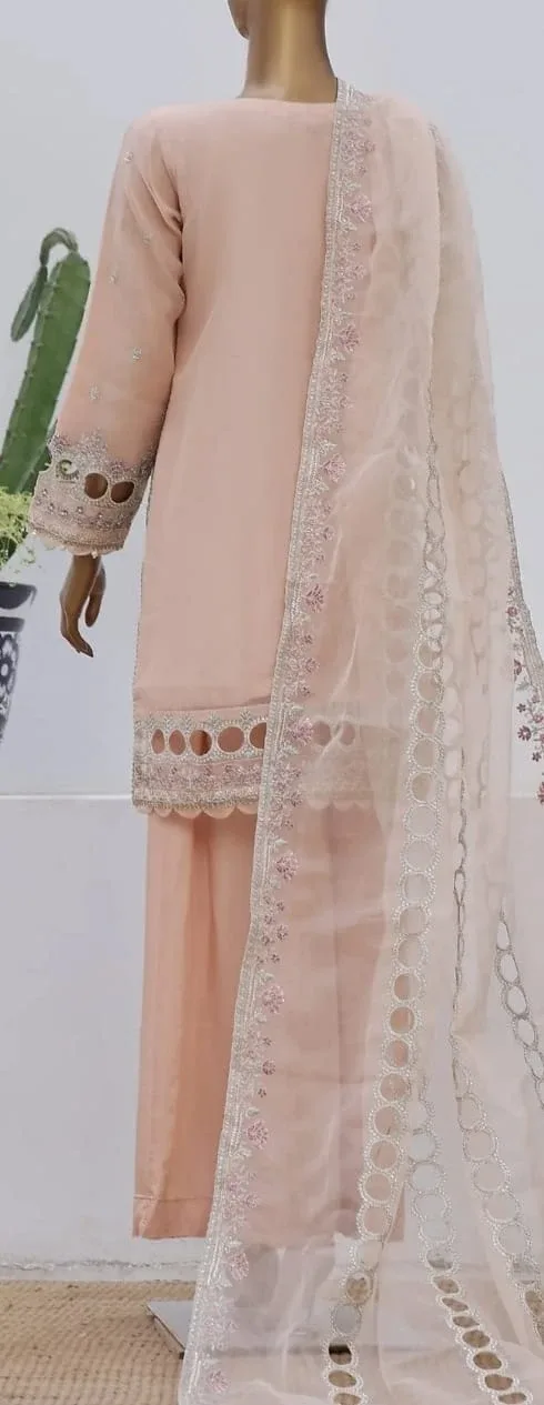 Embroidered Salwar Kameez Suit image indicator(2)