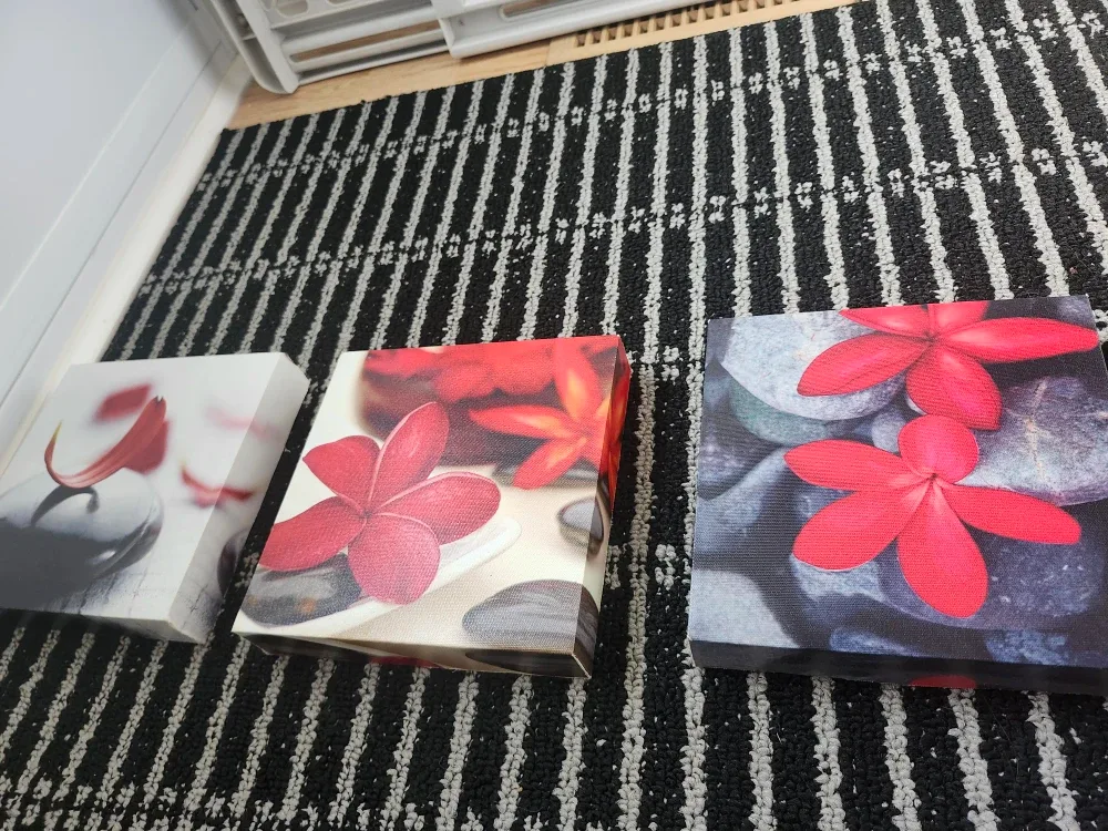 Set of 3 Flower Canvas Prints image indicator(3)