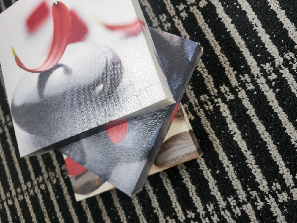 Set of 3 Flower Canvas Prints image indicator(4)