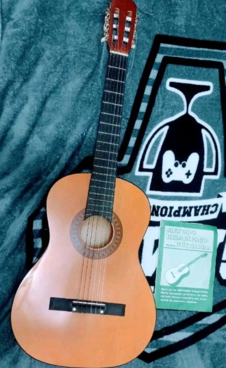 Acoustic Guitar & Peavey Guitar Storage Case Bag. image indicator(3)