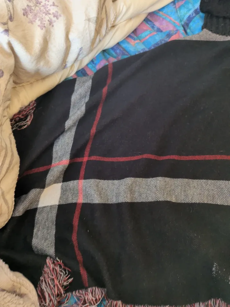 Assorted Women's Clothing image indicator(7)