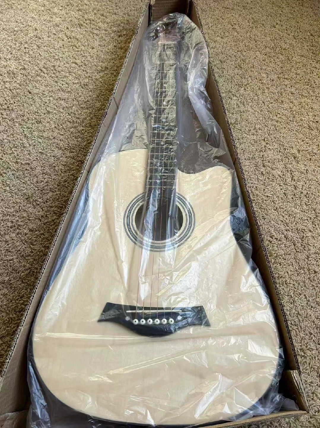 Acoustic Guitar - Brand New in Box! - photo 5