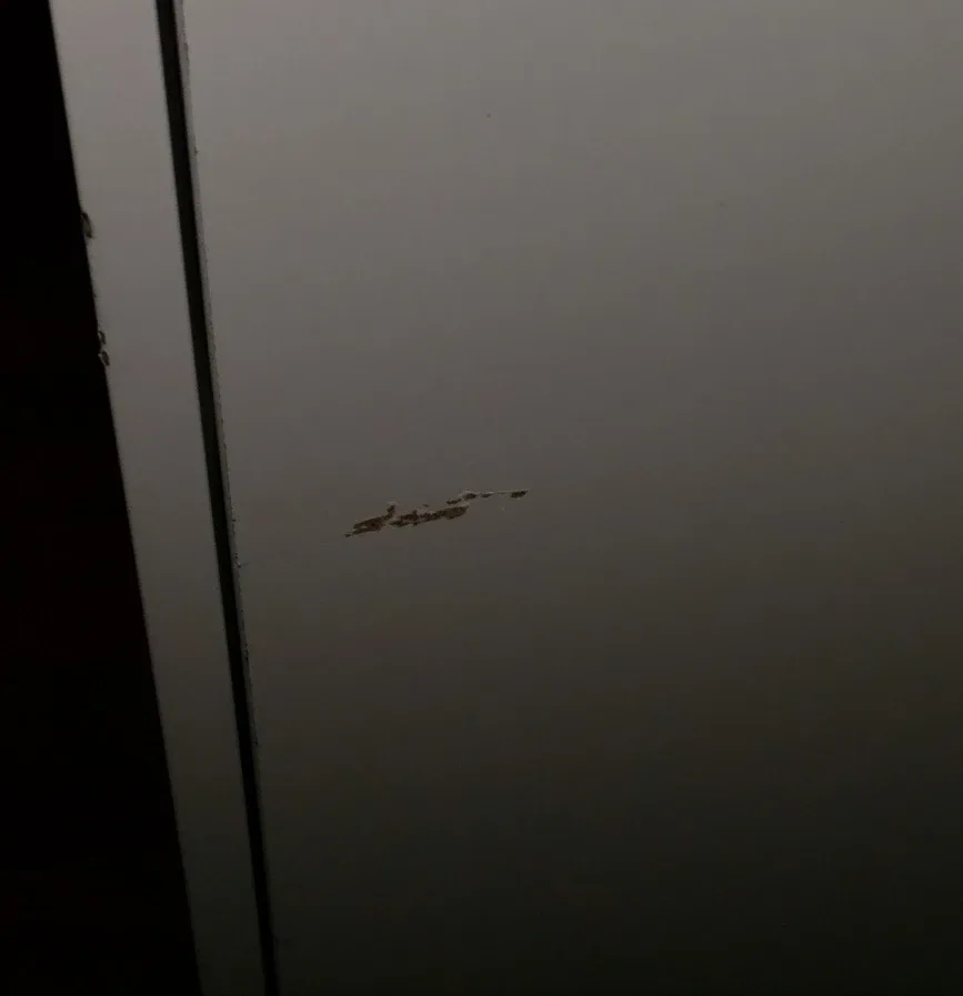 IKEA Billy White Bookcase with Glass Door image indicator(7)