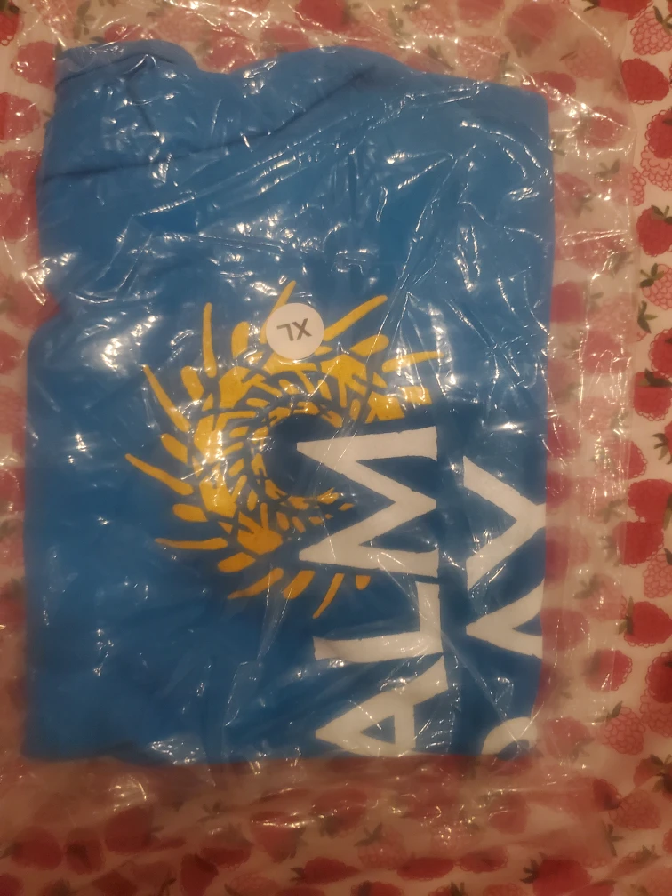 Palm Bay & Hoegaarden T-Shirts - photo 2