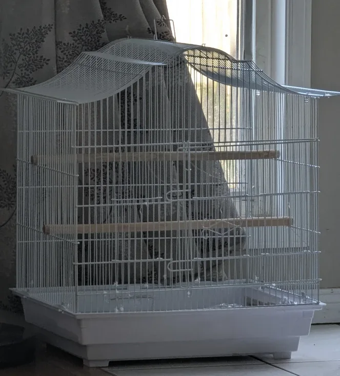 White Bird Cage with Perches
