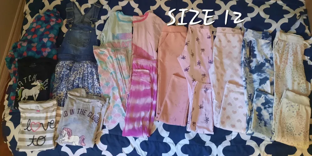 Girls Size 12 Clothing Lot
