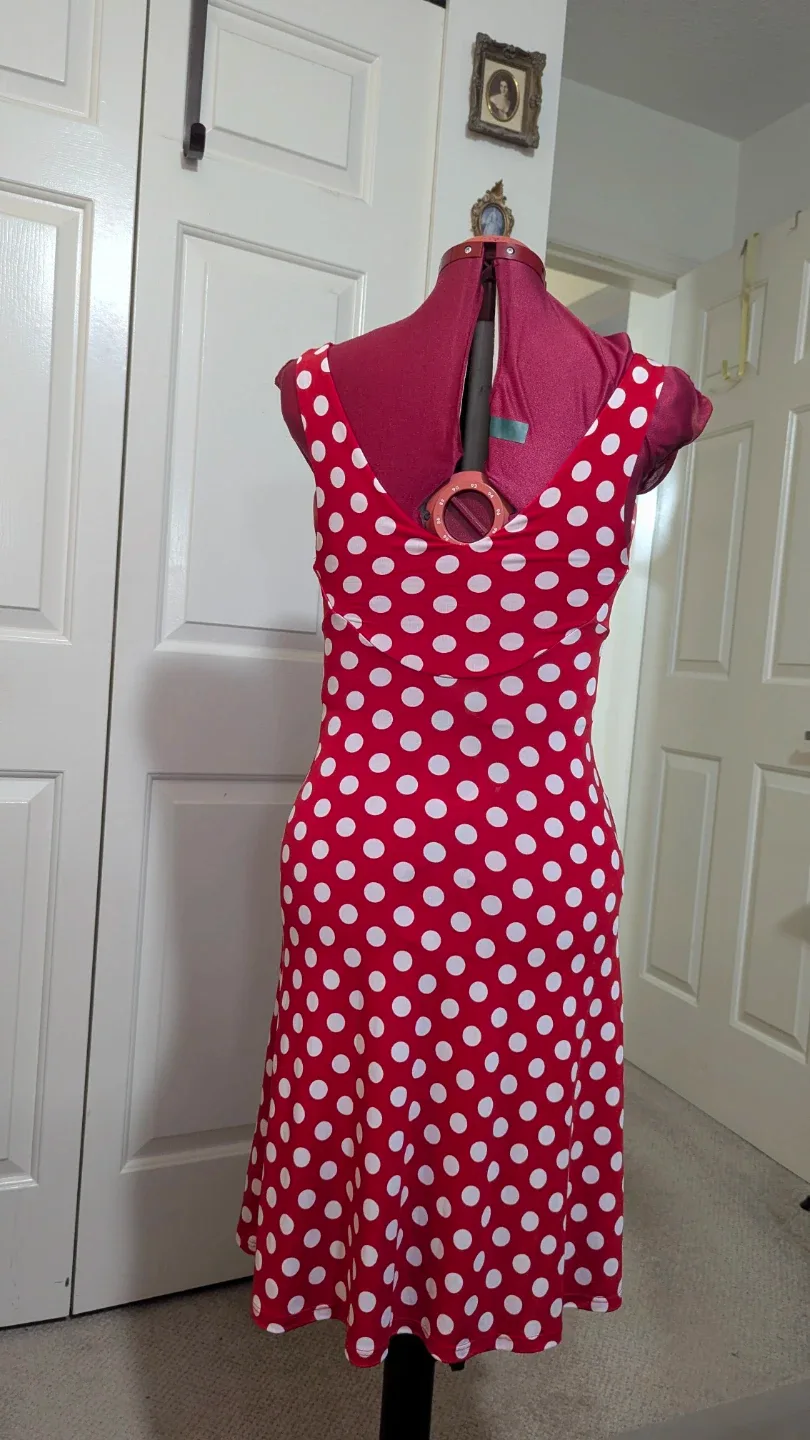 Red Polka Dot Dress image indicator(2)