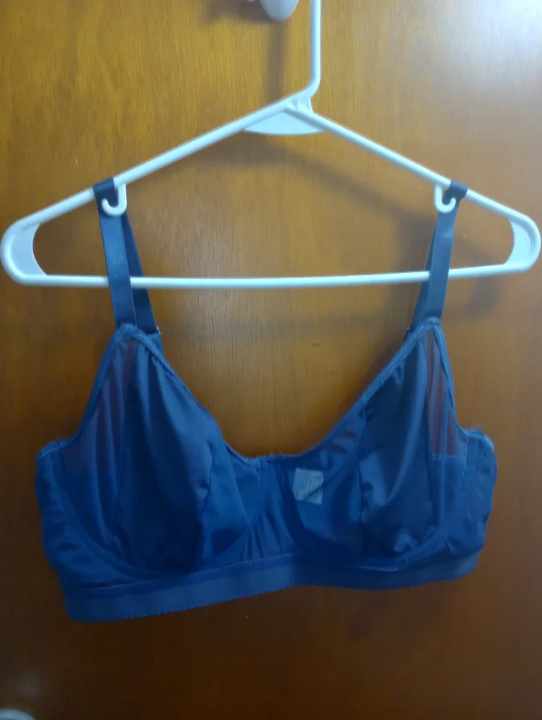 Blue Bra