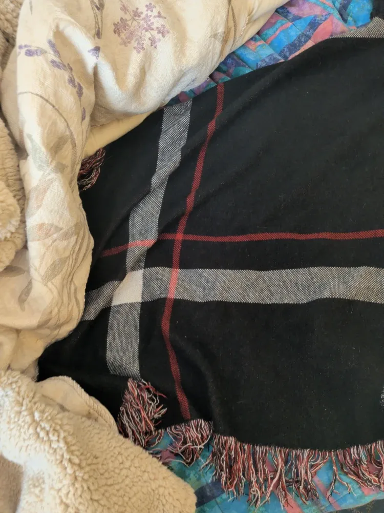 Assorted Women's Clothing image indicator(10)