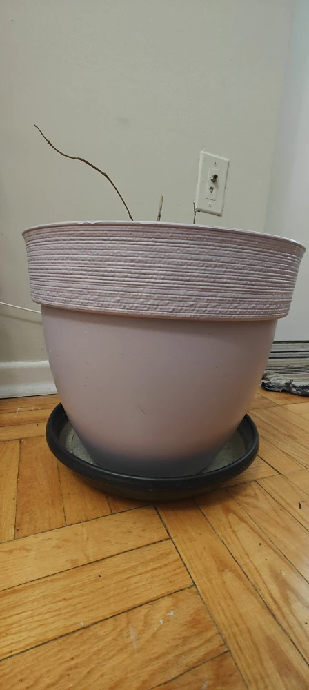 Large Light Purple Plant Pot - photo 3