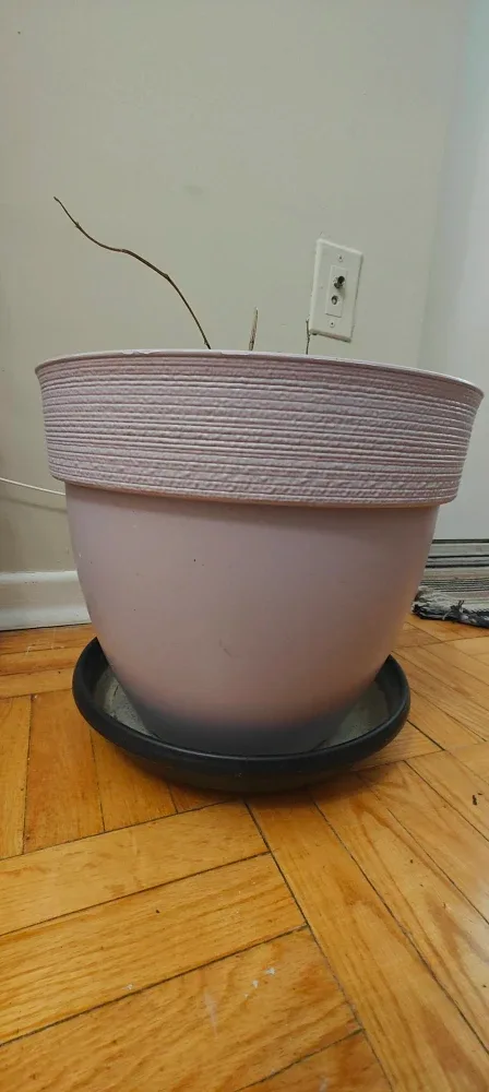 Large Light Purple Plant Pot image indicator(3)