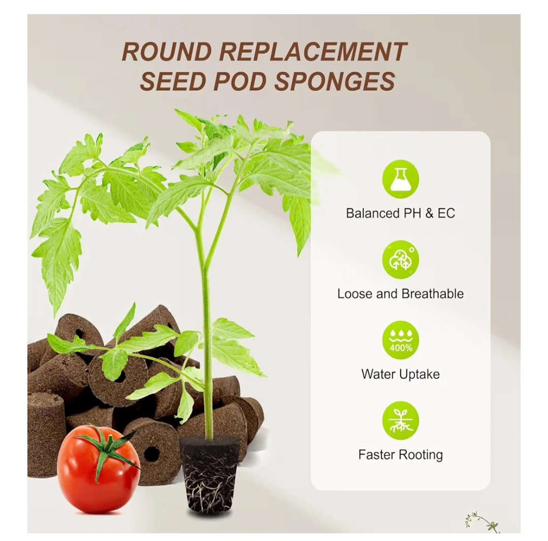 Round Replacement Seed Pod Sponges - photo 2