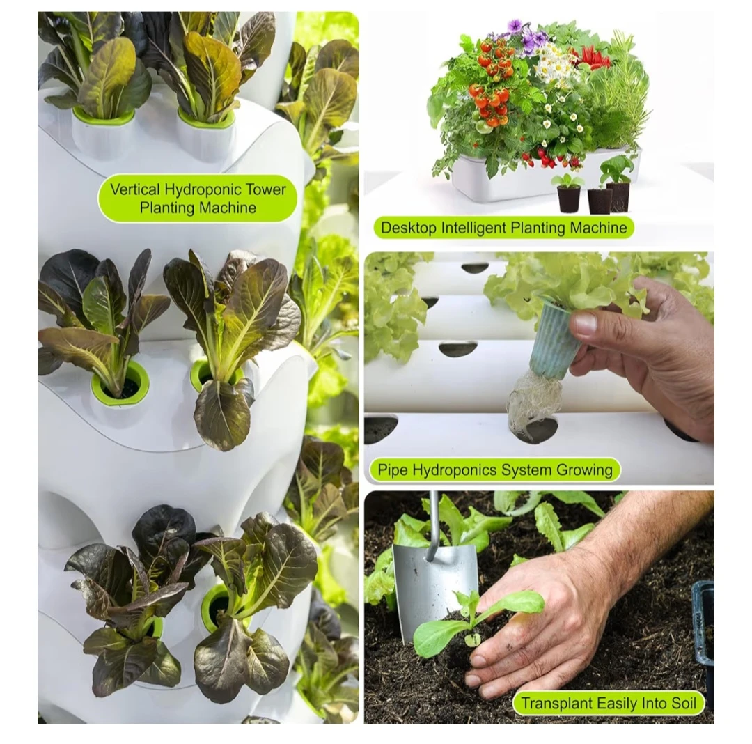 Round Replacement Seed Pod Sponges - photo 3